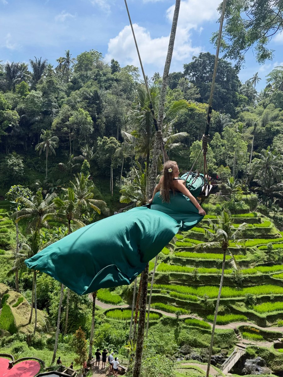 RouseLili's tweet photo. Rice Terrace Tegalalang, Indonesia https://t.co/VMwrVRWbNj