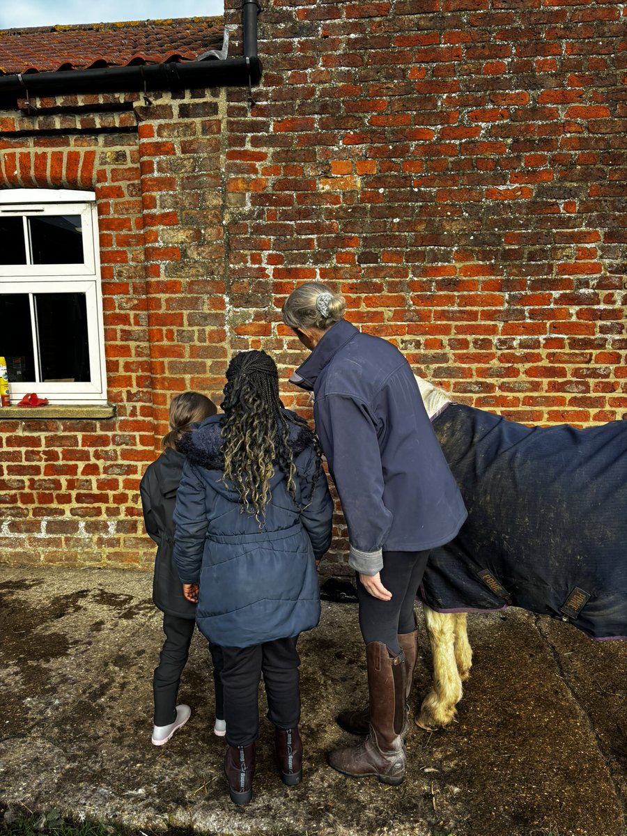 NeasdenPrimary's tweet photo. Lots of fun this morning seeing the ponies and chickens! 🐴🐓 https://t.co/vZzAuvjuXt