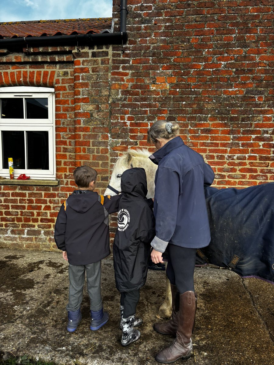 NeasdenPrimary's tweet photo. Lots of fun this morning seeing the ponies and chickens! 🐴🐓 https://t.co/vZzAuvjuXt