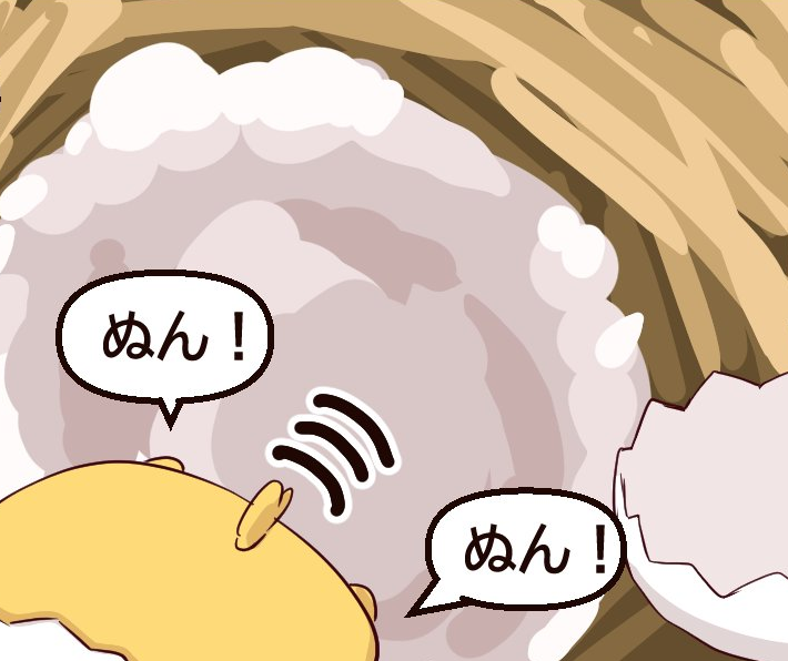 mamyo_n tweet picture