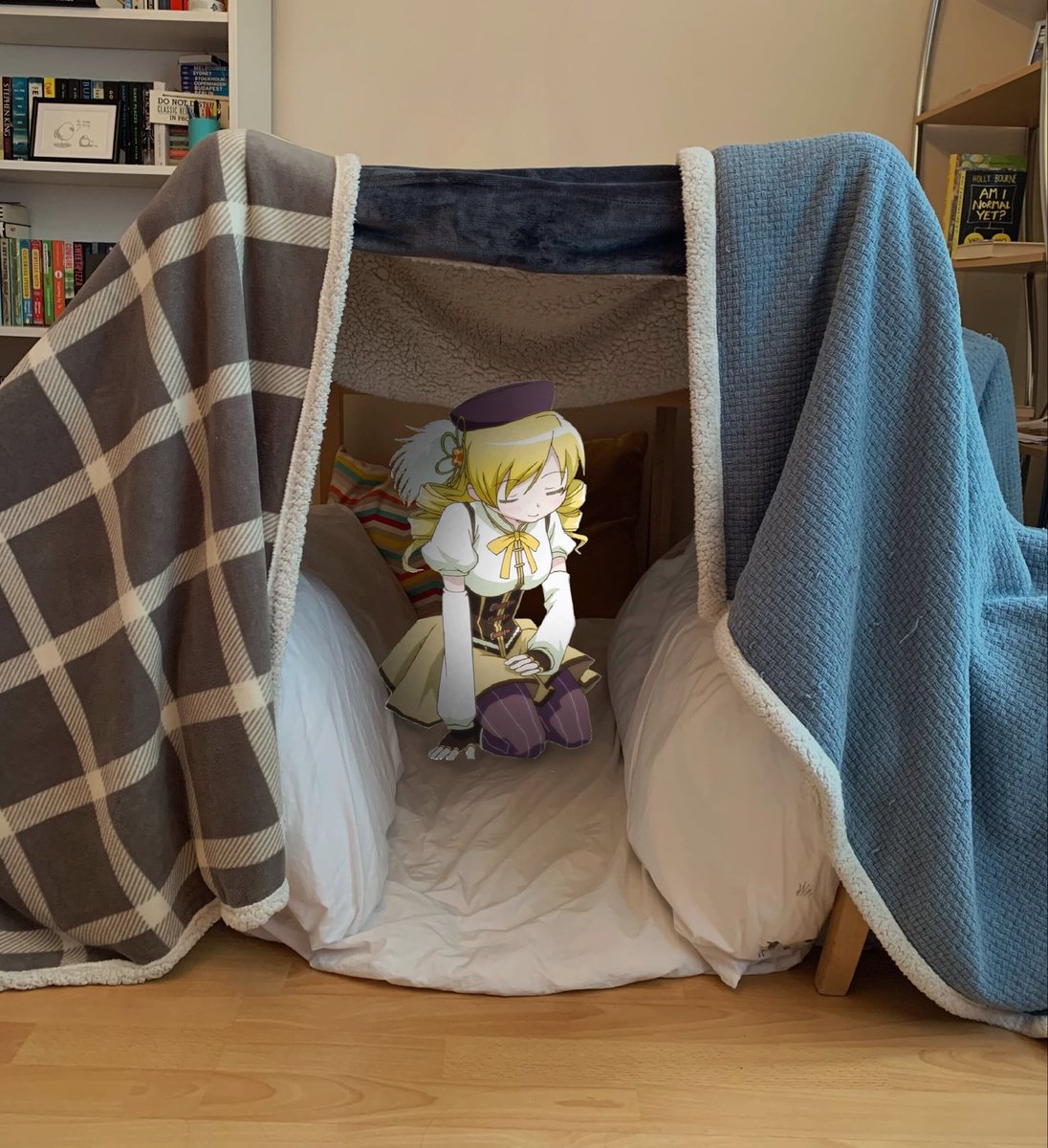 FlowerQueenMami's tweet photo. *sitting herself in a pillow fort* https://t.co/WDcf041wLG