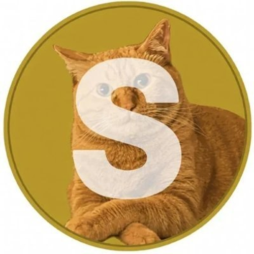 solyacatonx's tweet photo. $SOLYA lived on SOLANA

EvqFzEDwp727wQVYaJTt6BH6QPnaStcK4EvKM7HLpump https://t.co/zQ8VhuDoAB
