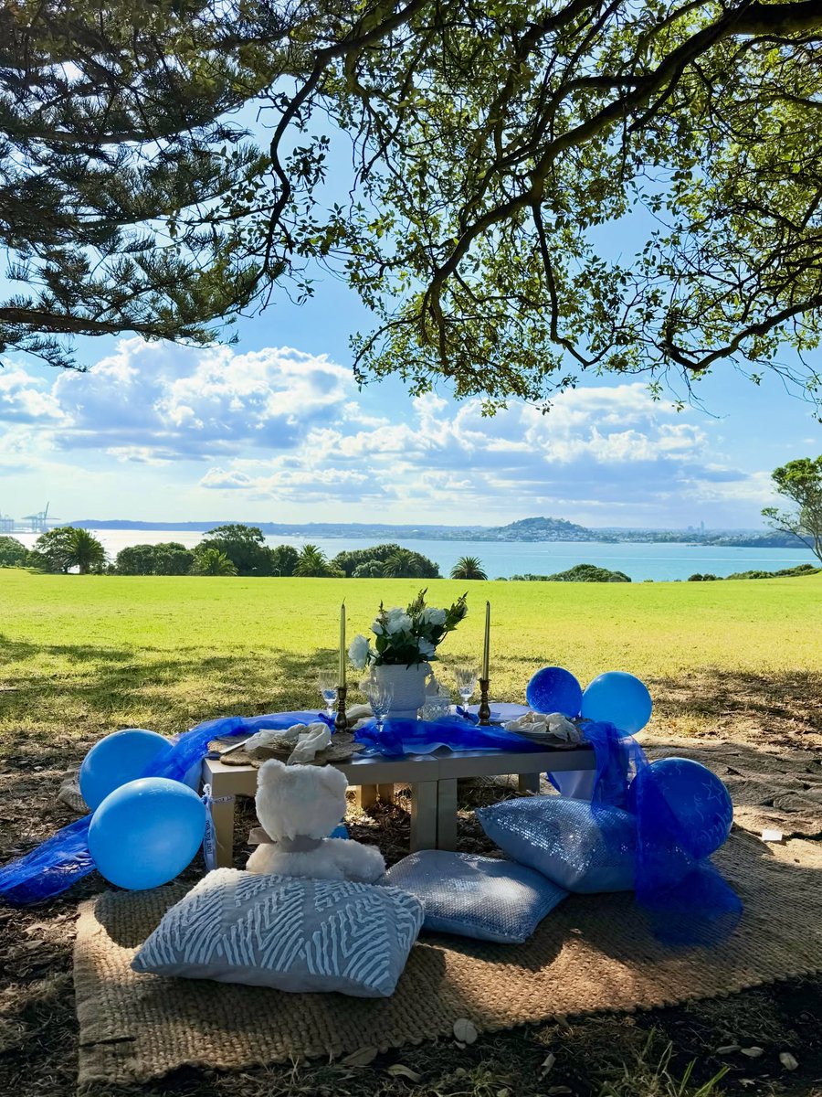 TIGRAO_MA's tweet photo. Michael Joseph Savage Memorial Park still offers one of Auckland’s best views. https://t.co/VpNpVTwqYI