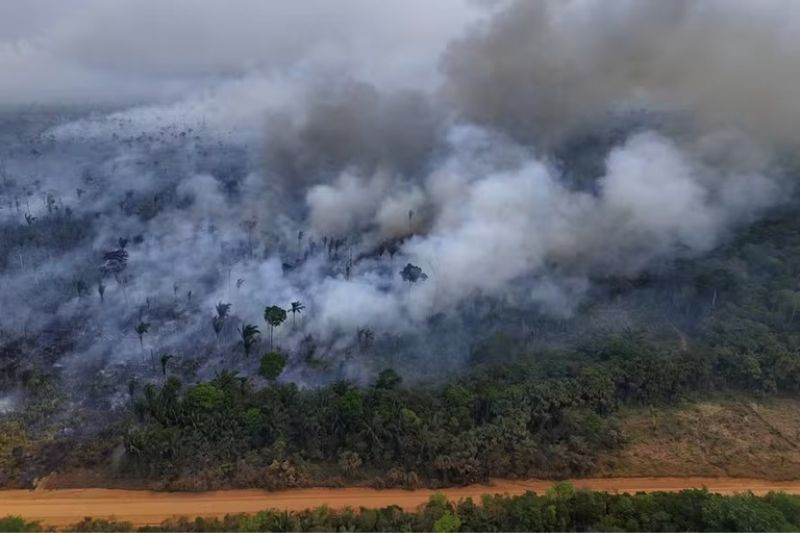 AmazonasAtual's tweet photo. 🌳 Estudo do Inpe publicado na Nature mostra que desmatamento e queimadas impulsionam emissões de carbono na Amazônia, agravadas pelas secas. Entre 2019 e 2022, o desmatamento cresceu 97% em relação ao grupo de referência.

Leia mais: https://t.co/IaPvcZGNky https://t.co/espGDy3TAi