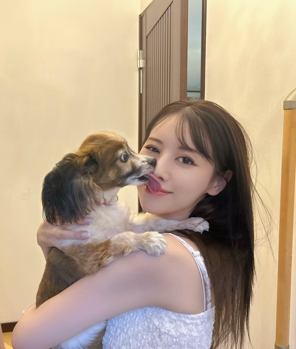 ezequieldepaul's tweet photo. 石巻で、わんこ達と親戚の猫に癒された。甥っ子とモカを連れてカフェにも行けて、動物いっぱいの幸せな時間だった。 https://t.co/kQJnuJS5h4