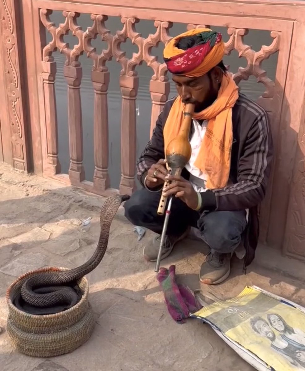 World's tweet photo. Every corner of the globe has its own rhythm. 🌍🎶 Experiencing the timeless art and tradition of street performers in India.
Quick Travel Trivia: Does anyone know the traditional name of this gourd flute instrument being played? 
👇 📍 India
#Travel #IncredibleIndia #Culture #Wanderlust