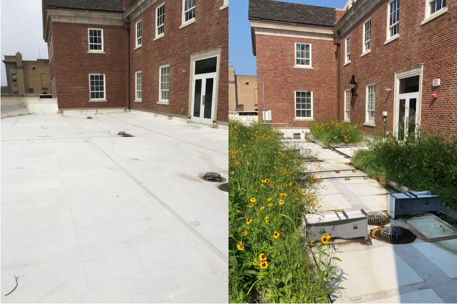OhioEPA's tweet photo. Check out the #greenroof at Ohio University’s Schoonover Center as we highlight “Ohio Grows" this month for #America250Ohio. Its glaring, white roof was replaced with plant beds that support campus research and provide environmental benefits. A living roof that grows with Ohio! https://t.co/PTOm2GgNk9
