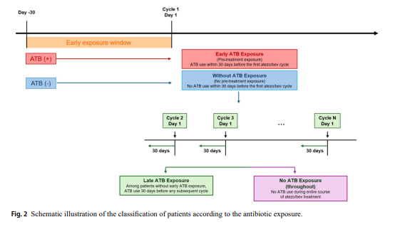 AponiaAnalytics's tweet photo. 🦉 Timing may matter more than the antibiotic itself

Antibiotics have been linked to poorer immunotherapy outcomes. But their timing may be an overlooked variable.

In a retrospective study of 177 patients with unresectable liver cancer receiving first-line atezolizumab plus bevacizumab, antibiotic exposure within 30 days before treatment was associated with markedly shorter survival.
Median overall survival was 5.8 versus 16.9 months, while progression-free survival was 2.3 versus 6.3 months.

Yet antibiotic exposure later during treatment showed no statistically significant association with worse outcomes.
One possible explanation is that microbiome disruption before immunotherapy affects the conditions needed for an effective initial immune response. But the study did not measure microbiome changes, and causality remains unproven.

Only 22 patients received early antibiotics, and they had poorer baseline prognostic characteristics. The results therefore do not justify withholding necessary antibiotics.

The more useful question is whether the immune system is particularly vulnerable to microbiome disruption before checkpoint blockade begins.
#immunotherapy #CAR_T #T_cell
👉https://t.co/TFHHB9bjtU