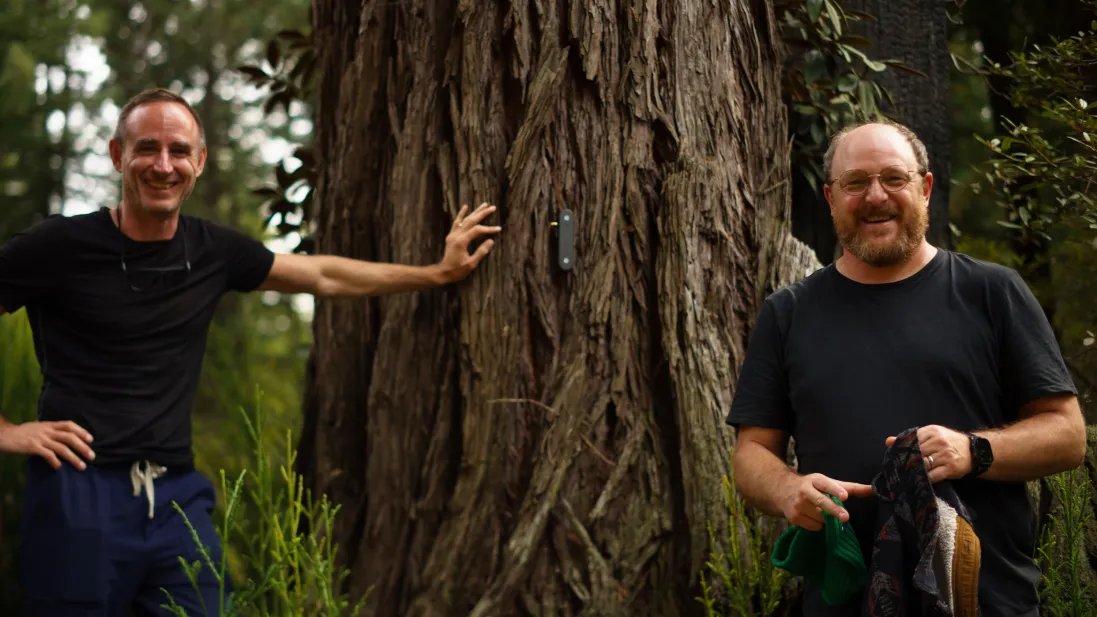 TechKard's tweet photo. 🌿 The model can interpret signals from around 125 plant species, ranging from tomatoes and ferns to redwoods.

💧 The startup claims its technology could help increase crop yields while reducing water usage by 20% or more.

3/4 https://t.co/okRhiwubmG