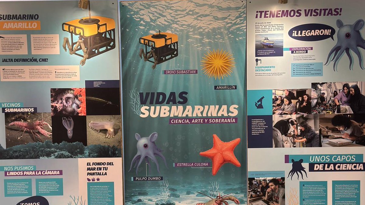 CascallaresPJ's tweet photo. Esta mañana recorrí la muestra de arte y ciencia "Vidas Submarinas" en nuestra Casa Municipal de la Cultura, una actividad a través de la cual se pueden conocer las características y logros de la histórica expedición en el fondo marino liderada el año pasado por especialistas del CONICET.  @BAProvincia 

#BrownConVos