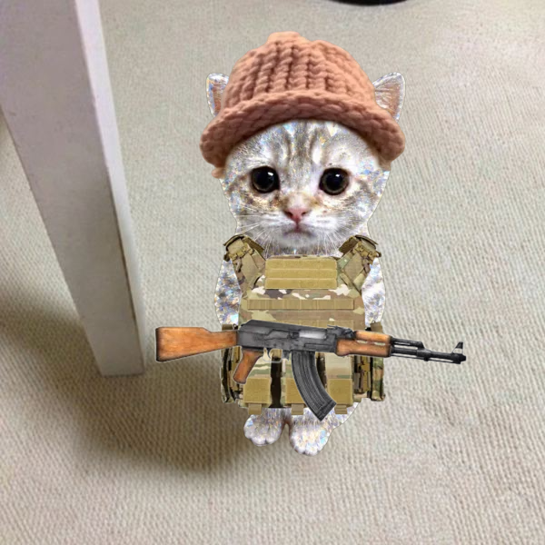 gato_pf's tweet photo. Imagine sending a simple standing cat called $GATO to $100M.

That would probably cure the trenches. https://t.co/2VAKOC9lZF