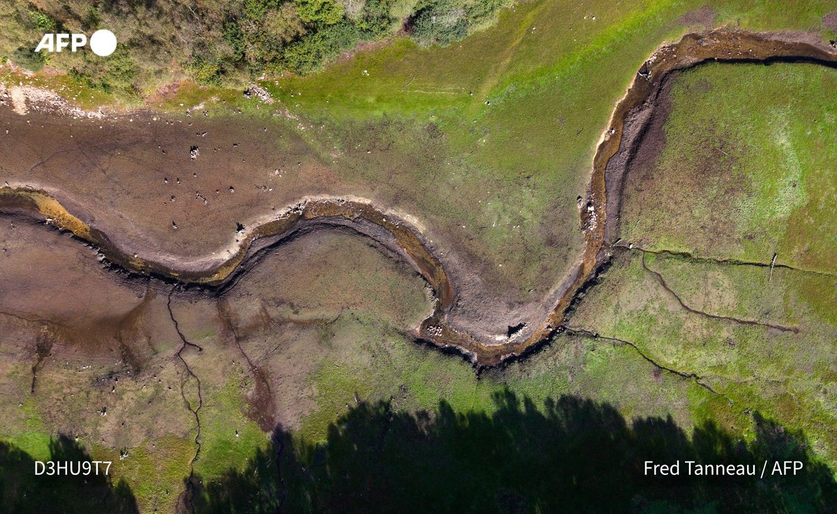 afpfr's tweet photo. 💧🇫🇷 Réputée pour son généreux crachin, la Bretagne va-t-elle manquer d'eau en plein cœur de l'automne? C'est la crainte largement partagée dans la péninsule armoricaine, face au niveau alarmant des nappes et retenues d'eau. 

➡️ https://t.co/l352oXPa41 https://t.co/eIBrlN4WKL