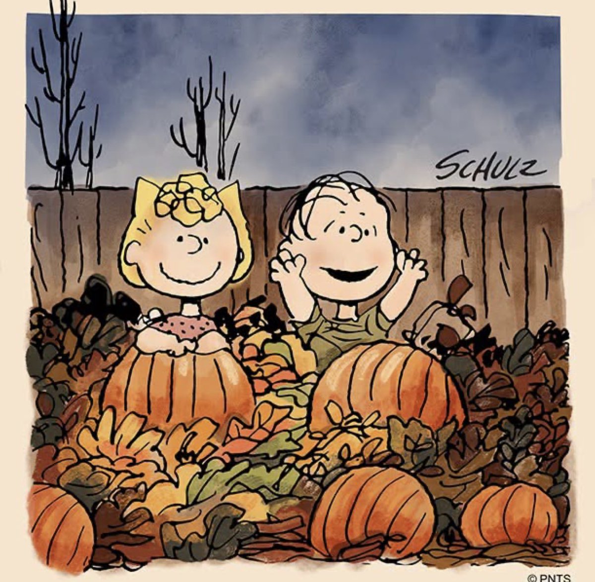 Peanuts_4Fans's tweet photo. Who are you going to the pumpkin patch with? #Peanuts https://t.co/S4kyuuI8K0