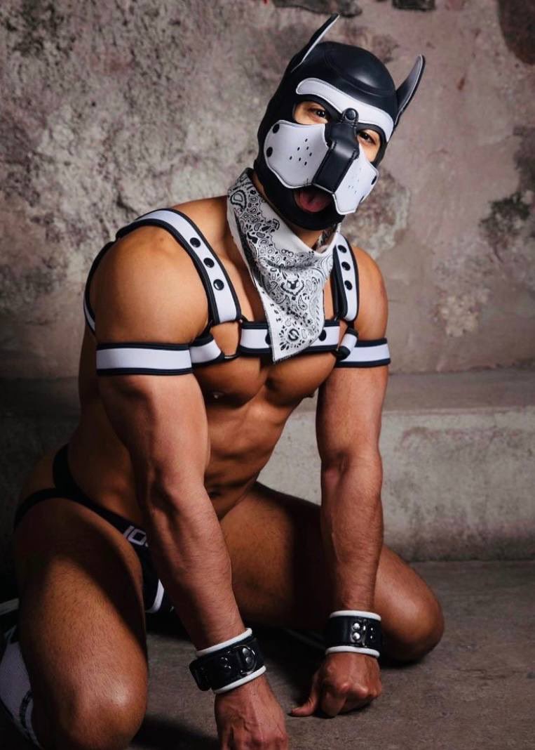 AsianMasterV's tweet photo. Where are my puppy followers? https://t.co/bFLuQ4dGrs