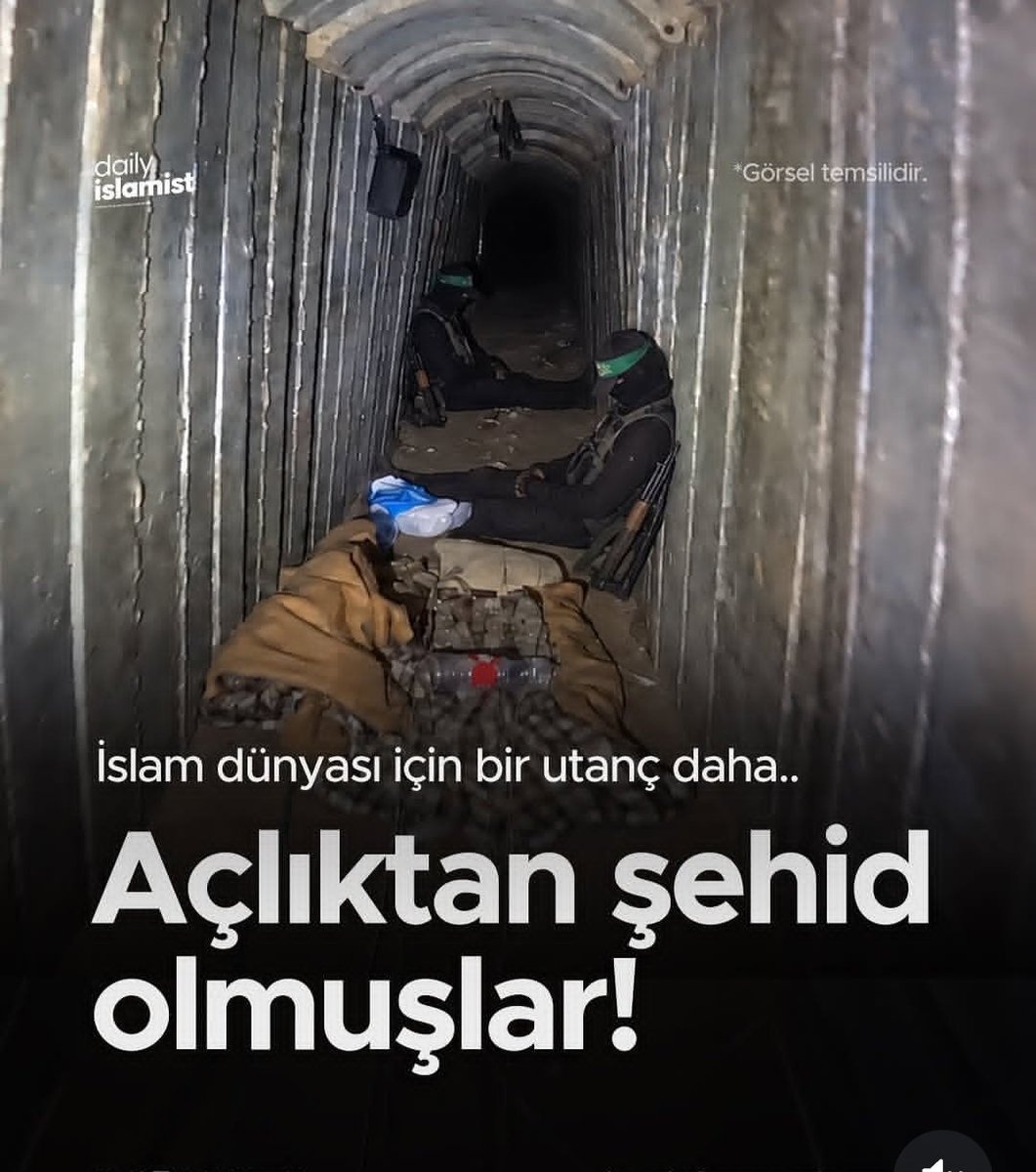elranat tweet picture