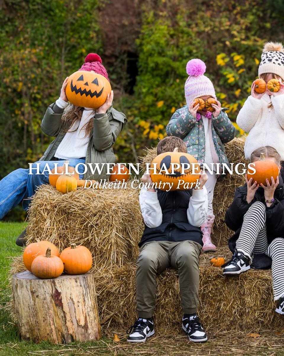 edinburgh's tweet photo. Halloween is just around the corner, and there's plenty of spooktacular experiences for all ages across Edinburgh! Whether it's pumpkin picking with the whole family, exploring Edinburgh's dark history, or a haunted house party with friends, there's a Halloween event for everyone this spooky season. 🎃👻

Check out our full list of events 👇  https://t.co/gDkN7uedM0

📸 Mercat Tours (1), Dynamic Earth (2), Flight Club Edinburgh (3), Dalkeith Country Park (4)