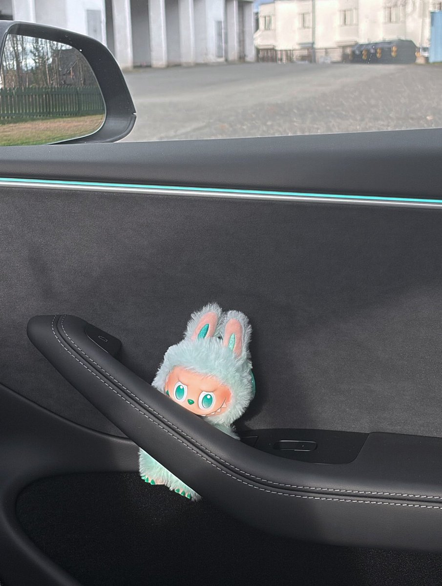 JeanettHighland's tweet photo. This car is protected by Labubu 👹 
Do you have any car accessories? https://t.co/w9N0XOqfoK