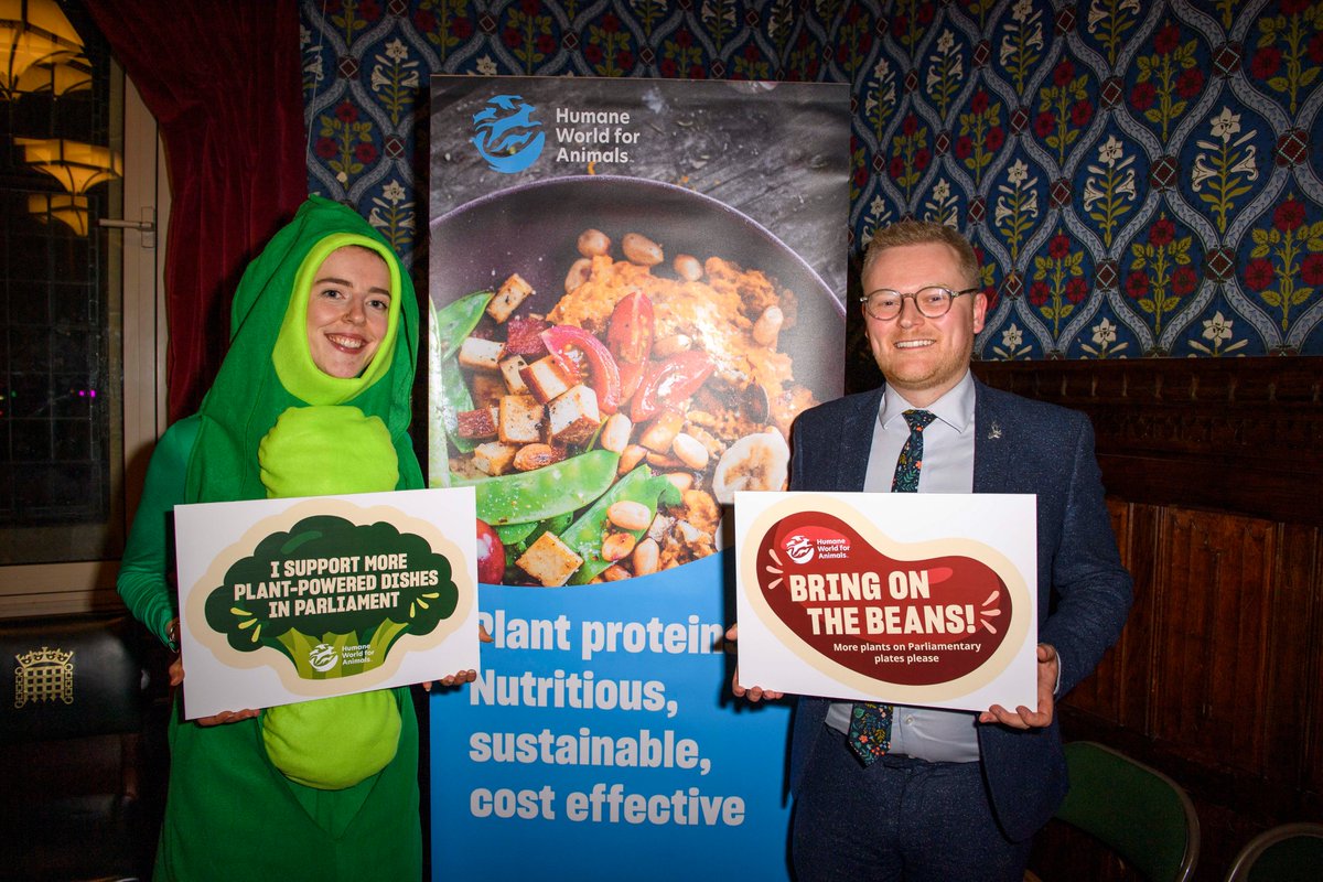 humaneworlduk's tweet photo. Thank you @JoshNewburyMP for joining us in urging Parliament catering to offer more plant-powered catering - MPs can and should be full of beans! 🫘🫛 https://t.co/RP9UU90q5m