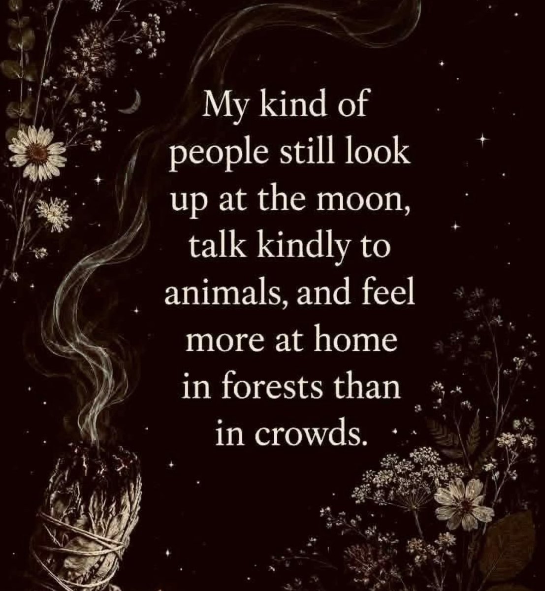 DarrachG's tweet photo. 🙏 https://t.co/jB6Lue97A6