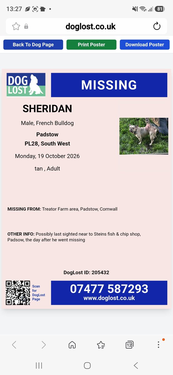 MissingPetsGB's tweet photo. 🐕‍🦺 #URGENT #MISSING RESCUE DOG SHERIDAN 
#PADSTOW #CORNWALL

SHERIDAN is a nervous tan French Bulldog who went missing from Treator Farm #PL28 on 19 October 2026

He was only adopted as a rescue dog last Friday &amp; will be frightened. He has a distinctive BLUE RIGHT EYE. https://t.co/TPmz2bqNPg