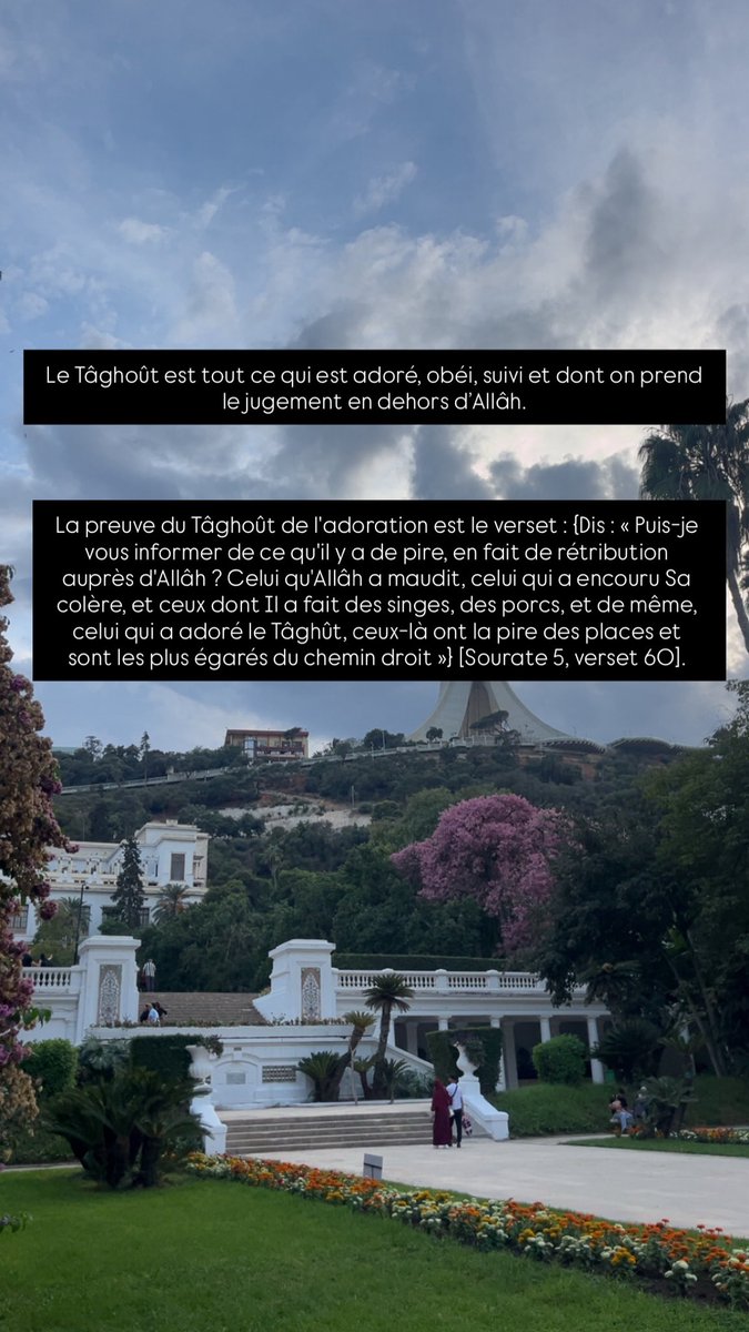 sssiyyya_'s tweet photo. #salafiya #taghout #islam https://t.co/aFCEmd6nAL