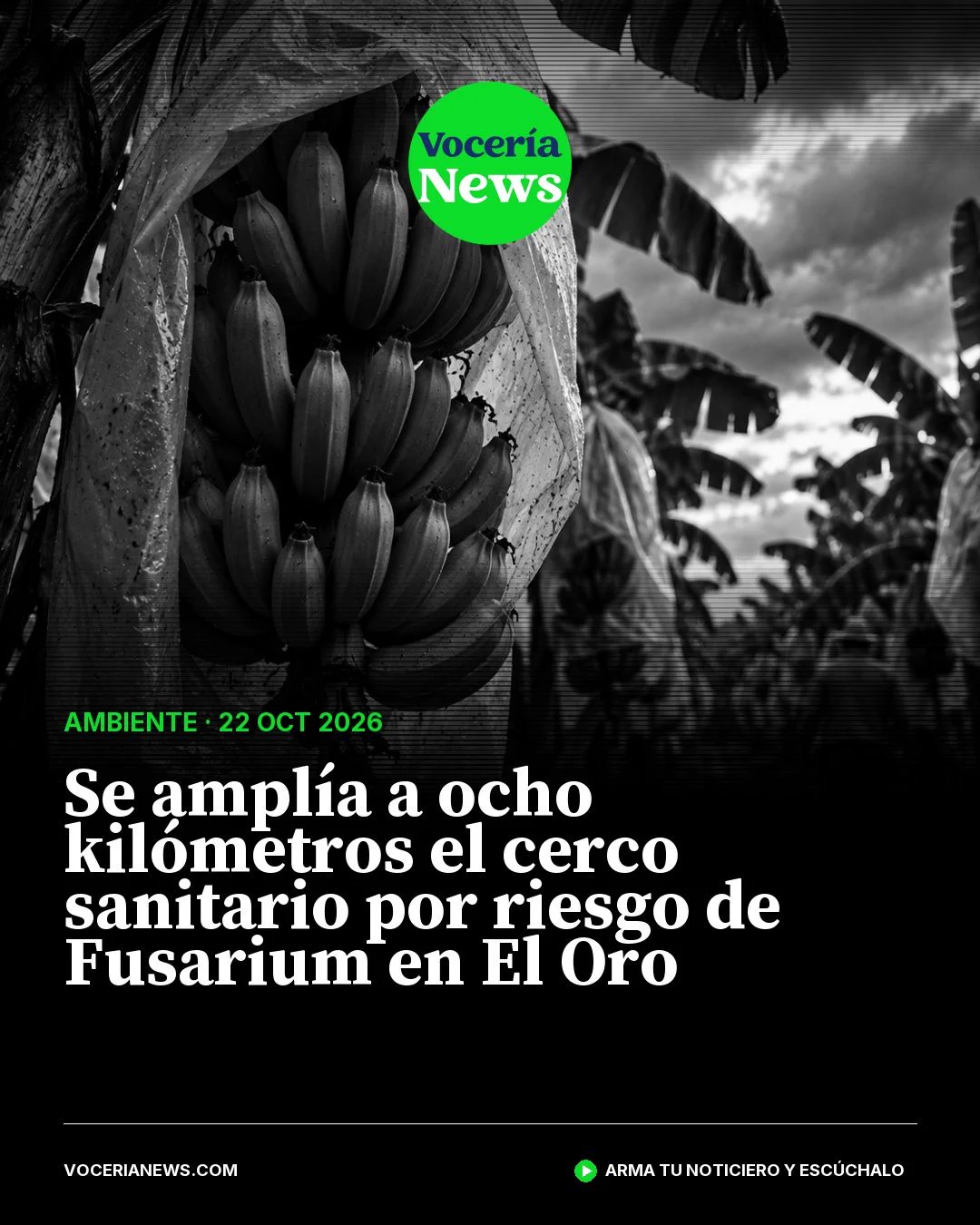 Vocería News on X: 