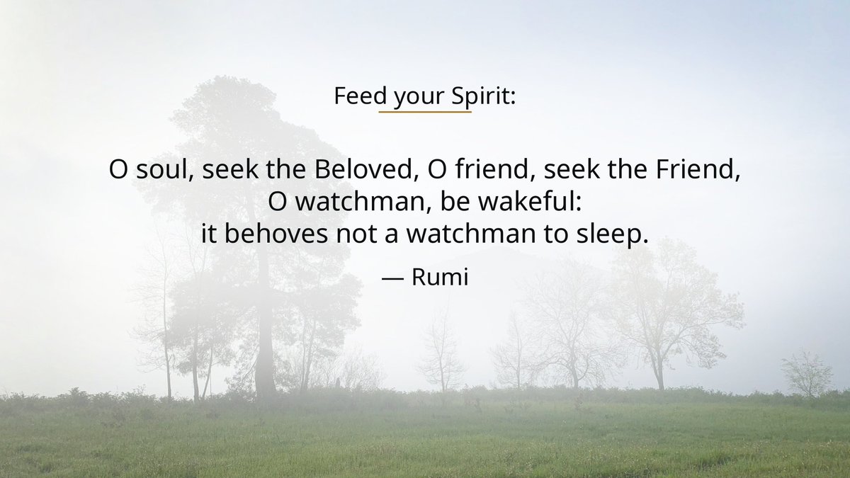 hrnftw's tweet photo. "O soul, seek the Beloved, O friend, seek the Friend, O watchman, be wakeful: it behoves not a watchman to sleep." — Rumi
#FeedYourSpirit #Rumi https://t.co/vNbZHkKEI4