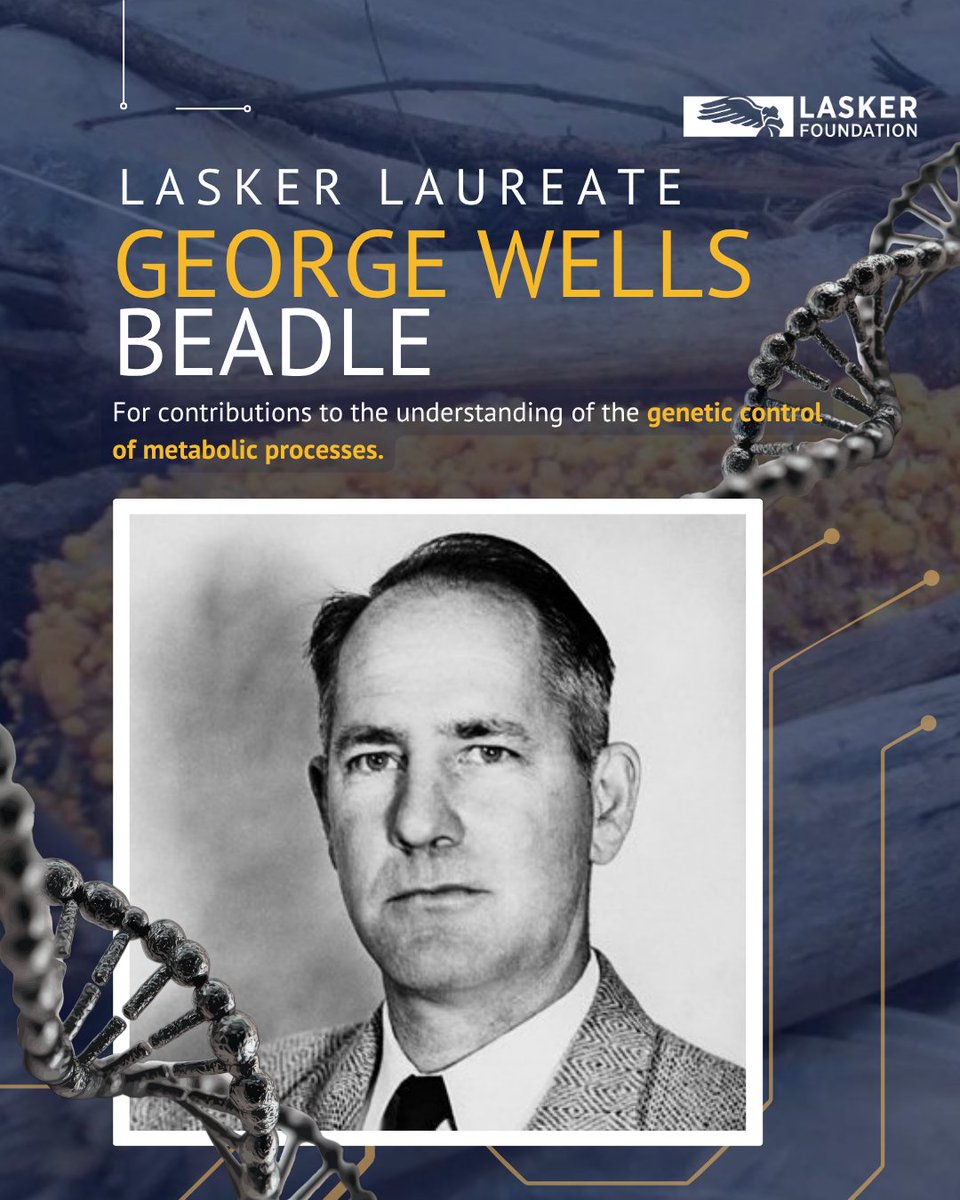 LaskerFDN's tweet photo. George Wells Beadle of @Caltech was born #OTD in 1903. 

Beadle received a Basic Medical Research Lasker Award in 1950 and a #NobelPrize in 1958 for his contributions to the understanding of the genetic control of metabolic processes. Find out more: https://t.co/HG5shTLGr9 https://t.co/MacS54FTRk