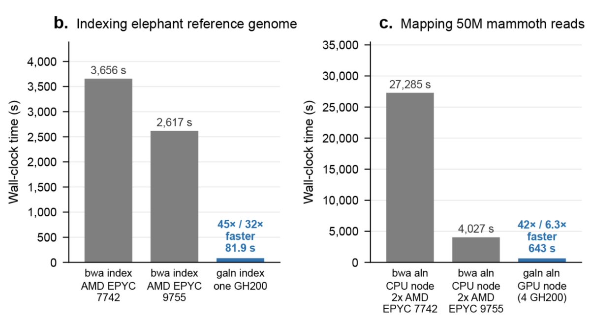 love_dalen's tweet photo. 🚨 Ancient DNA Alert 🚨

Do you depend on BWA aln, and worry that the world’s HPC clusters are pivoting towards GPUs?

Fear no more! 

We here present G-ALN, a GPU implementation that is >6 times faster and produces byte-identical outputs to BWA aln!

https://t.co/8uikwWPewX https://t.co/XKGo0copDy