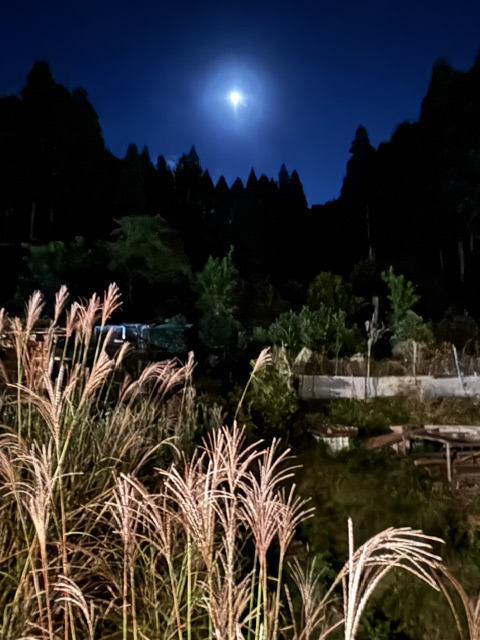 YasuFunatsu's tweet photo. 山里を流れ下る川も素晴らしい。
近くに温泉♨️があるそう。
とても印象深かった。鞍馬の火祭。また来たい。 https://t.co/tgAtzwYTzk