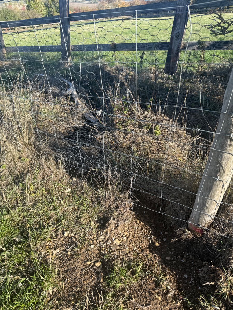 PrivacyMatters's tweet photo. @LisaForteUK When I think of cyber security I often think of the ‘rabbit proof fences’ 😂protecting a local Iron Age hill fort … it’s a good example of knowing the threats and the threat actor … cos, determined adversary is gonna find the weak spots https://t.co/CB46iDDIN6