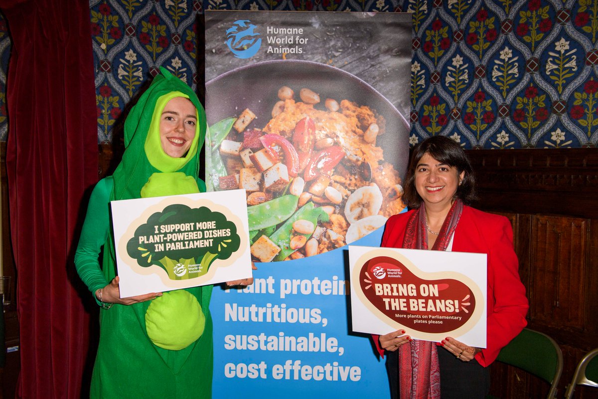 humaneworlduk's tweet photo. Thank you @SeemaMalhotra1 for your support for putting more plants on plates in Parliament! Our new report shows that a modest 30% swap from chicken to chick peas could save Parliament money, cut greenhouse gases, and spare animals from suffering in factory farms https://t.co/ZCOKi0Lsth