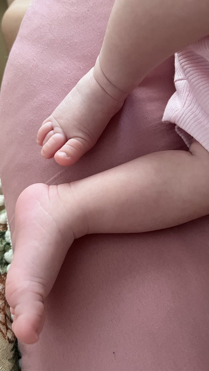 torturednpoets's tweet photo. os pezinhos que chutavam minha barriga 🩷 https://t.co/E1BK0pgnEh