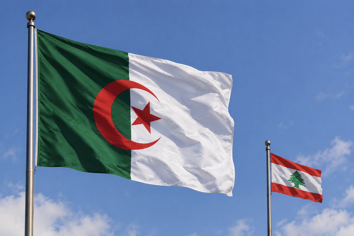 MouloudiaDZ3's tweet photo. مؤخرًا، يظنّ البعض أنهم يعايروننا بقولهم إن الجزائريين يهاجرون بكثرة إلى أوروبا…

لكن نحمد الله على الإحصائيات…

هناك 5 ملايين جزائري في الخارج، و50 مليونًا في #الجزائر 🇩🇿. وهناك 15 مليون لبناني في الخارج، و4 ملايين فقط في #لبنان 🇱🇧.

لا يوجد شعب على وجه الأرض هرب من بلده مثل اللبنانيين…

ومن بقي في لبنان…

لا كهرباء
لا ماء
لا حكومة
لا جيش
لا نظام
لا بنوك
لا عملة

زريبة وسلام…