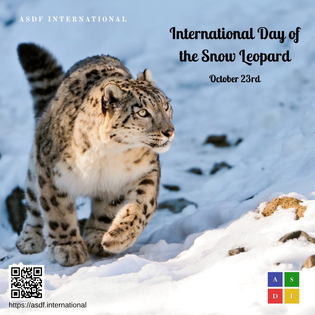 ASDFInt's tweet photo. International Day of the Snow Leopard

Protecting the snow leopard means protecting the fragile mountain ecosystems it calls home. 🐆🏔️

#SnowLeopardDay #SnowLeopardConservation #WildlifeProtection #ASDFint https://t.co/tKFEmh8iS5