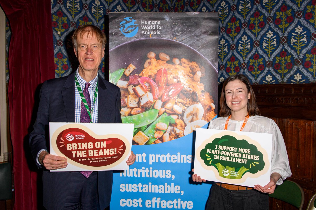 humaneworlduk's tweet photo. Thank you @stephenctimms for coming to discuss the many benefits of putting more plants on plates in Parliament. Switching just 30% of animal proteins to plants - like British beans - could save Parliament £200k+ https://t.co/L3XoledErN https://t.co/SVdvWNxUyw