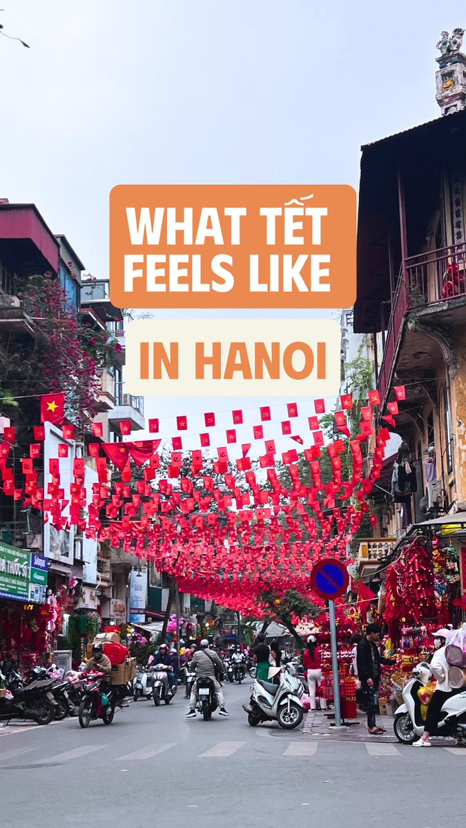 HudsonknHuntNvb's tweet photo. Tết in Hanoi begins weeks before New Year’s Eve. Markets, kumquat trees, red decorations, seasonal flavors and reunions fill the city. Year of the Horse brings strength and energy. Chúc mừng năm mới! https://t.co/LsEjhfaQml