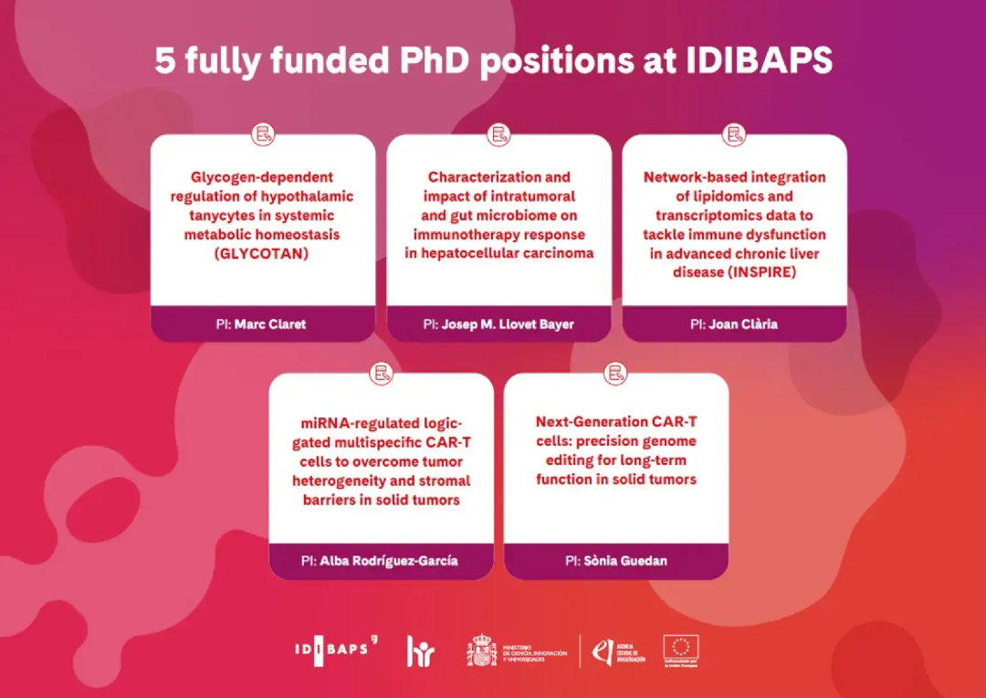 idibaps's tweet photo. #JOBOFFER

L’IDIBAPS ofereix cinc beques predoctorals finançades per l’@AgEInves

Aquesta proposta s’adreça a joves investigadors i investigadores d’excel·lent expedient acadèmic i alta motivació, de qualsevol nacionalitat

👉https://t.co/WOzeyZR3l7 https://t.co/PFYIbbmU2w