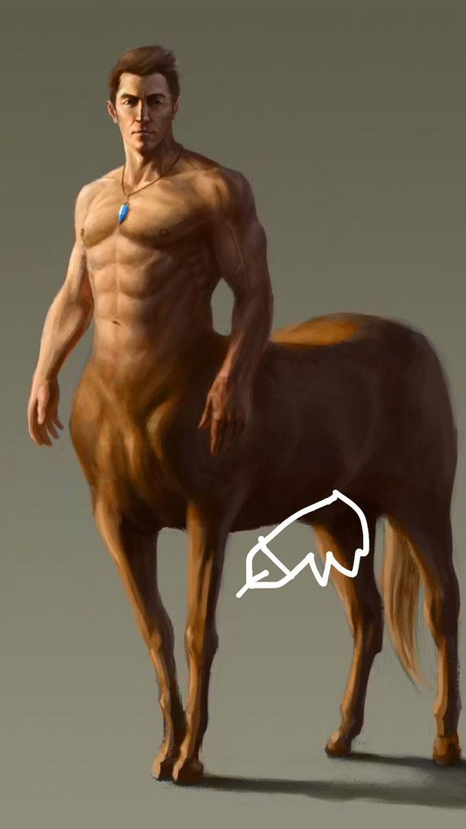 winger0114's tweet photo. Hey @grok, what’s your take on this? If a centaur had a dick, would it be on the FRONT  or at the BACK? https://t.co/GUeppu03PG