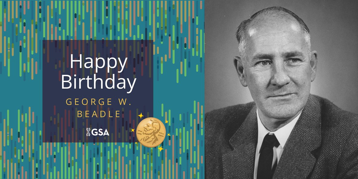 GeneticsGSA's tweet photo. Happy birthday to George W. Beadle! A Nobel laureate and former GSA president, Beadle helped lay the foundation for molecular biology. GSA honors his legacy through the George W. Beadle Award: https://t.co/dJSmWqoMX1 https://t.co/uvQ7rlPBYm