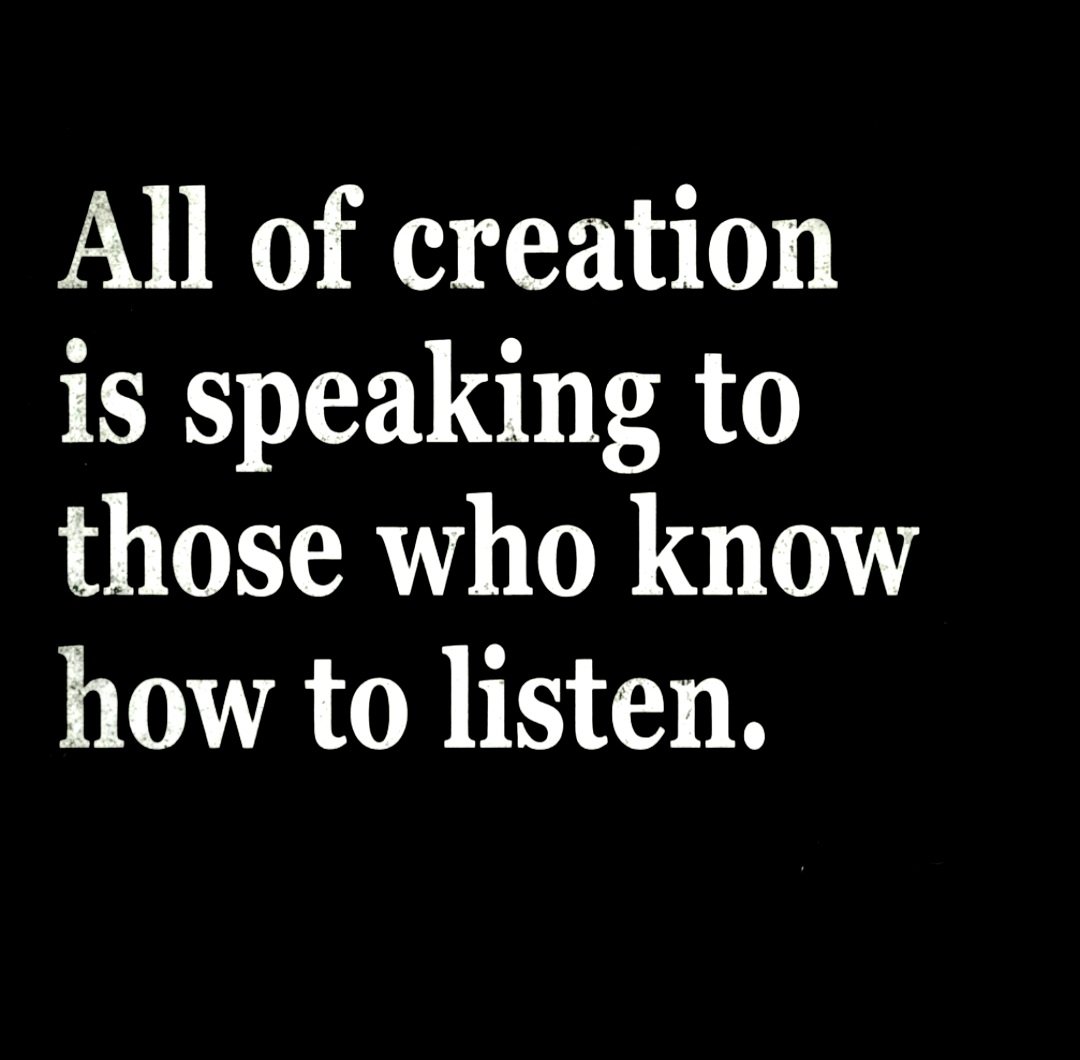 taalamacey's tweet photo. "All of creation is speaking to those who know how to listen." https://t.co/oPnM1uq4MS