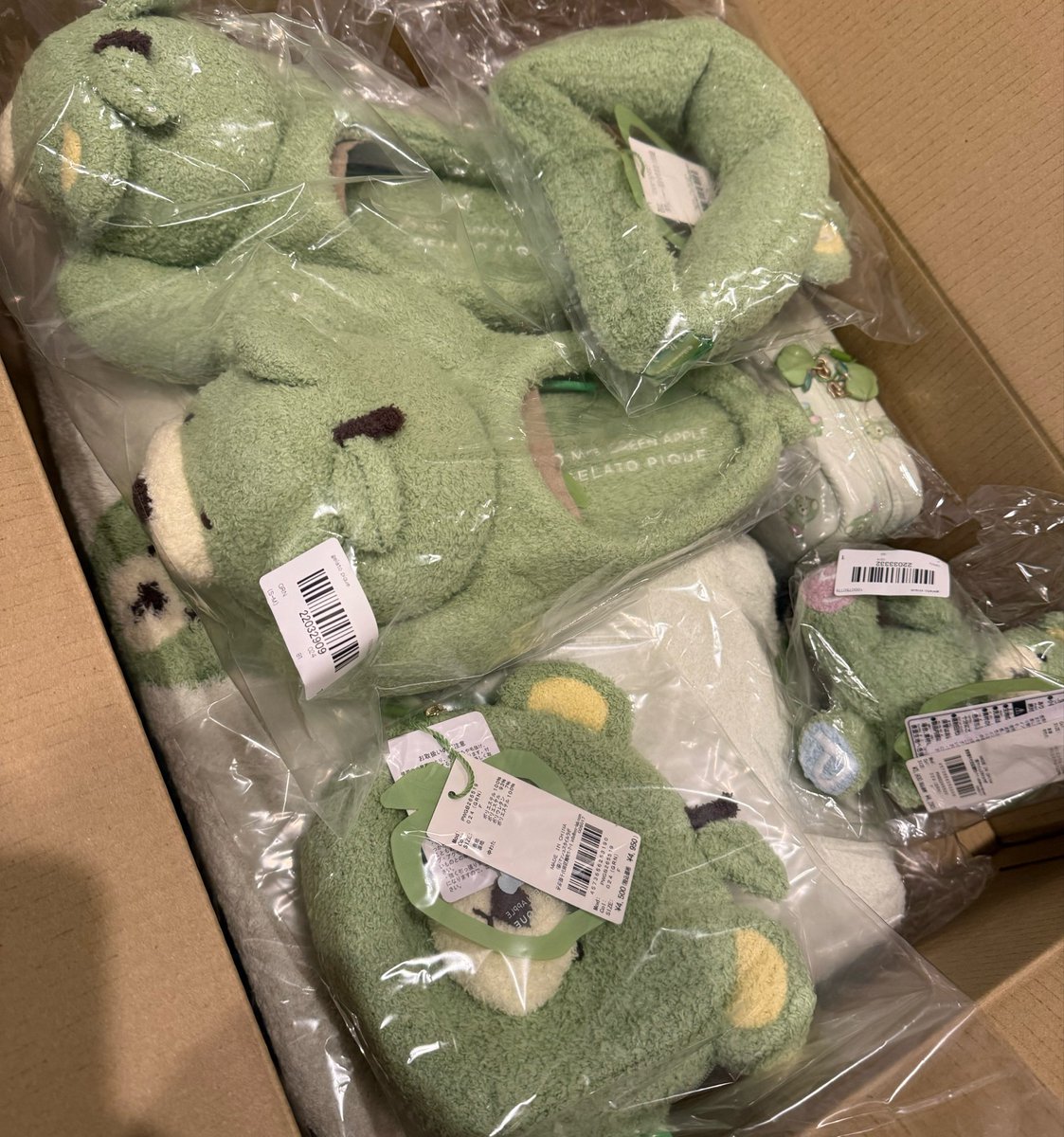 mf_0708's tweet photo. 🧸🍏 https://t.co/E9Tk22Qmj1