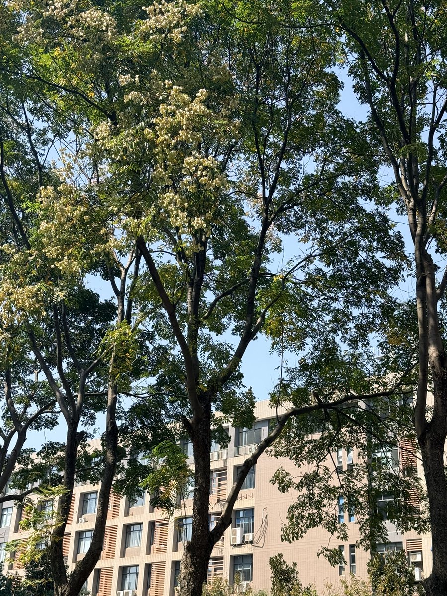 plpp520's tweet photo. 很有很多事要做呀～ https://t.co/YiCDPgq5HJ