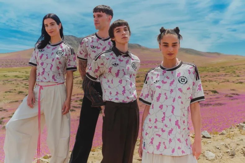 funkyjinkook's tweet photo. me hubiese Encantado ver a los bts saliendo con esta camiseta que está inspirada en el desierto florido 💔 https://t.co/Qu725OUJet
