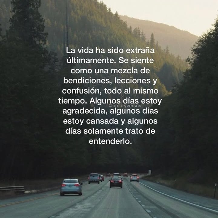 Carito_RM's tweet photo. Últimamente días complicados, que te empujan a olvidar https://t.co/yPjAS95wYk