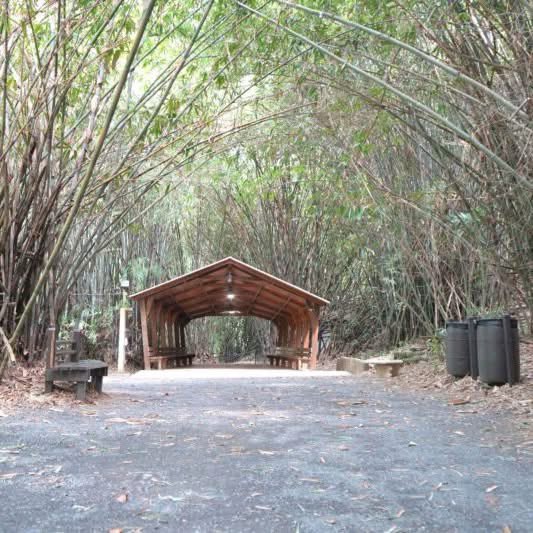 UPR_Oficial's tweet photo. Descubre todo lo que nuestro Jardín Botánico tiene para ofrecer. 🌿 

Recorridos, charlas, actividades educativas, espacios para eventos y mucho más. ¡Visítanos! 

#JardínBotánicoUPR #RíoPiedras #ConectaConLaNaturaleza https://t.co/YwgI5gc42p