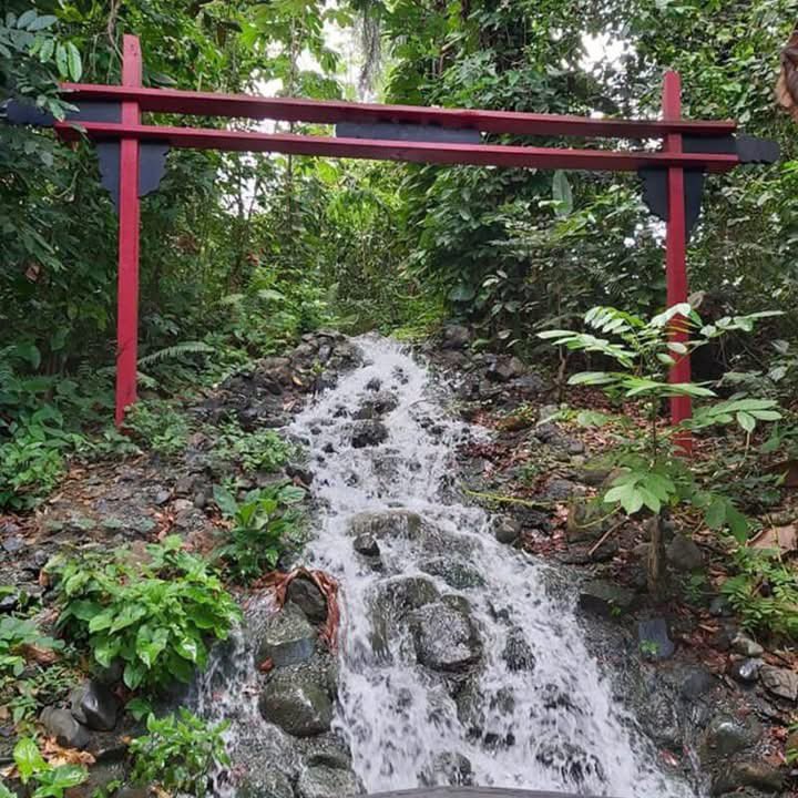 UPR_Oficial's tweet photo. Descubre todo lo que nuestro Jardín Botánico tiene para ofrecer. 🌿 

Recorridos, charlas, actividades educativas, espacios para eventos y mucho más. ¡Visítanos! 

#JardínBotánicoUPR #RíoPiedras #ConectaConLaNaturaleza https://t.co/YwgI5gc42p