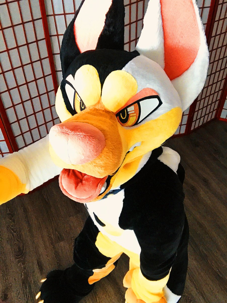 Twilight_Saint's tweet photo. ✨✨✨Hey✨✨✨

#fursuit #fursuits #furry #furries #fursona https://t.co/GzMfoPZWXI
