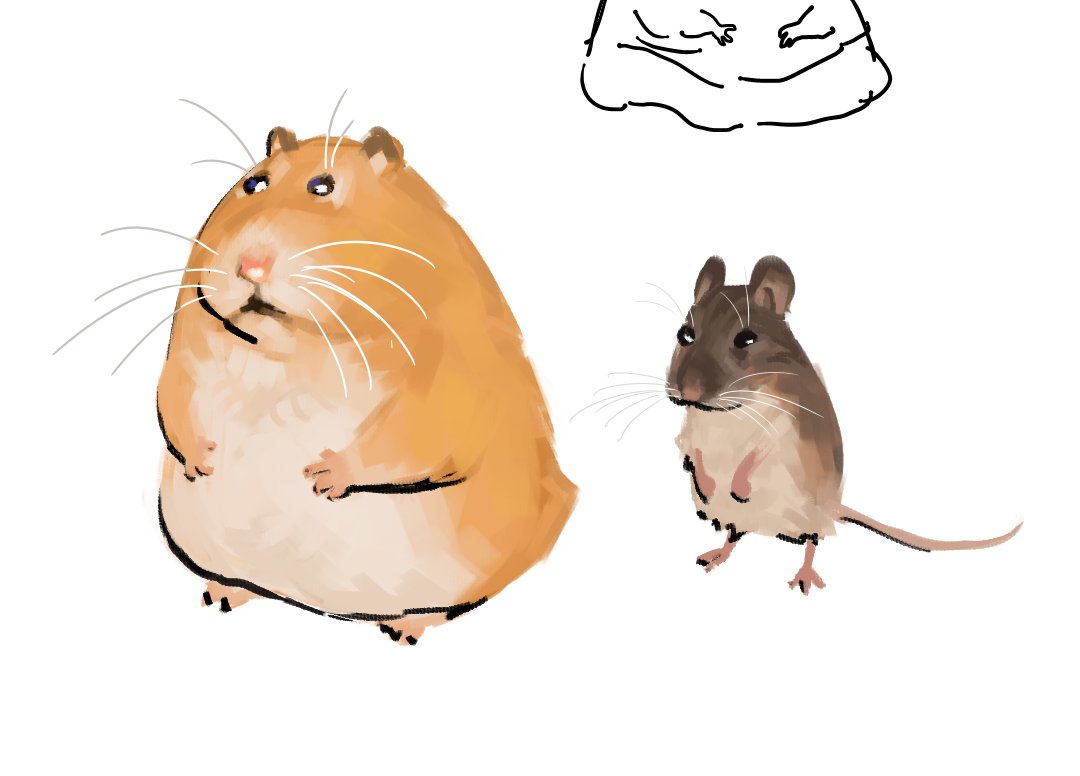 Jestrous_'s tweet photo. been drawing rodents https://t.co/0bjjF5g1c9