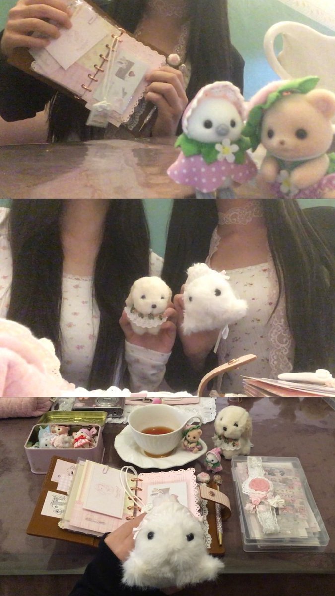bisritamel tweet picture